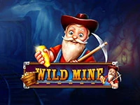 เกมสล็อต Wild Mine